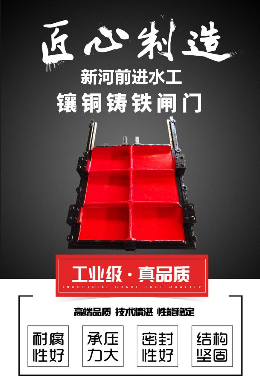 铸铁91视频聊天网启闭机